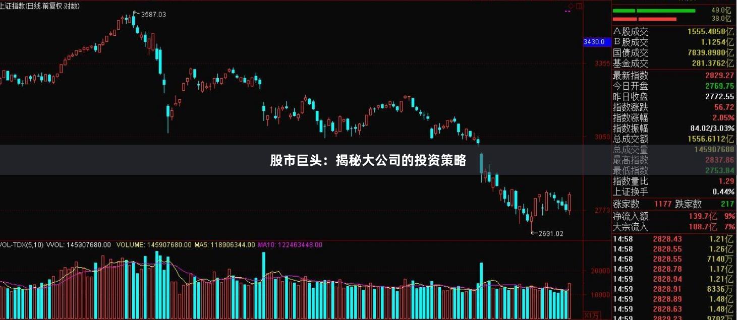 股市巨头：揭秘大公司的投资策略