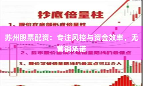 苏州股票配资：专注风控与资金效率，无营销承诺